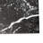 Merzoni Checker Ruzzini 18" x 18" Porcelain Wall & Floor Tile