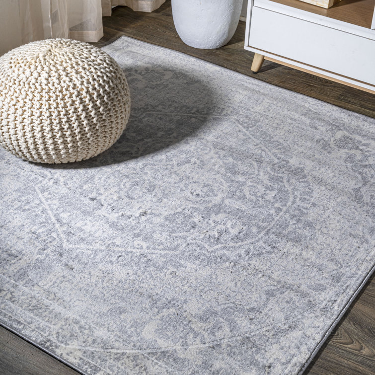 Ademar Modern Persian Vintage Medallion Gray/Ivory Rug
