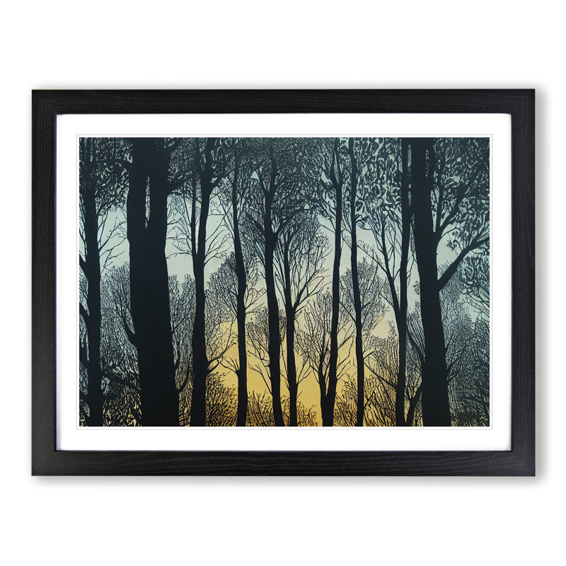 Eccentric Forest - Single Picture Frame Print, Black Framed, 46cm H x 64cm W x 2cm D