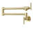 Wall Mounted Pot Filler-93656897