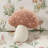 Mushroom Garden Comforter For Twin/Twin Xl, Proof Bedding