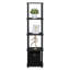 Evianna Shelving Unit Bookcase with Fabric Bin-242945983