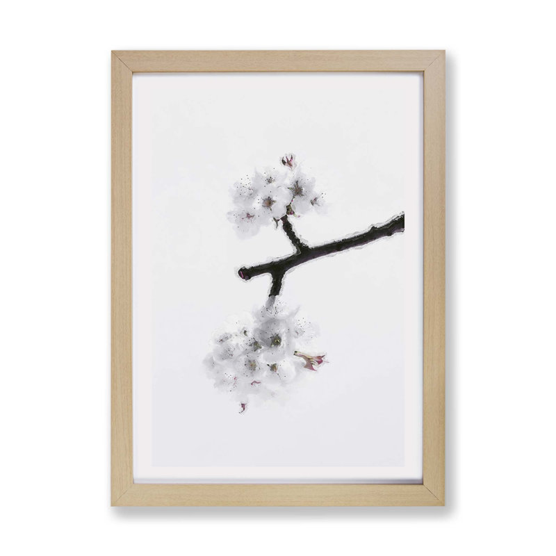 White Cherry Blossom Tree - Wall Art, 45cm H x 33cm W x 2cm D, Black Framed Paper