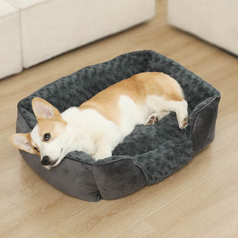 Canapé-lit rectangulaire pour animaux de compagnie lavable à la machine avec coussin amovible toutes saisons pour animaux de compagnie