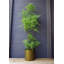 Faux Fern Plant in Plastic Pot Liner-1767850431