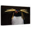 Pingouin-1812740332