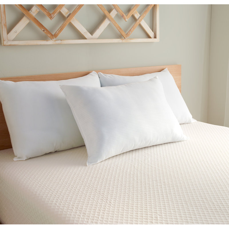  Coussin en polyester / polyester