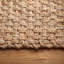 Jute / Sisal Hand Woven Area Rug-2029522294