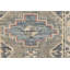 Oriental Area Rug in Gray