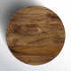 Vivenne Mango Wood End Table