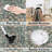 Govan Vintage Machine Washable Area Rugs-399522263