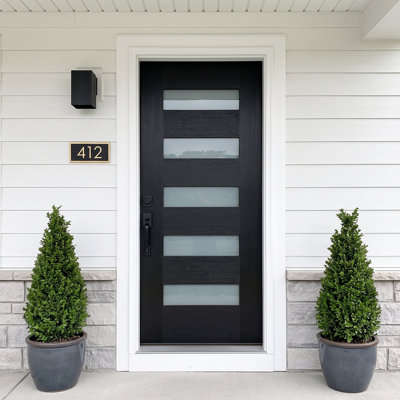 Porte d'entrée extérieure en fibre de verre 36 po x 80 po à 5 portes avec verre givré, cadre 4-9 / 16 po, cadre de porte inclus (poignée non incluse)