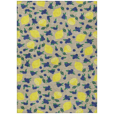 Machine Washable Indoor/Outdoor Chantille ACN2354 Fruits Rug