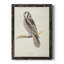 Toile encadrée de qualité supérieure Canada Owl - prête à être accrochée-598386080-598386095