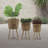 Bamboo Planters 11/13/15" Natural