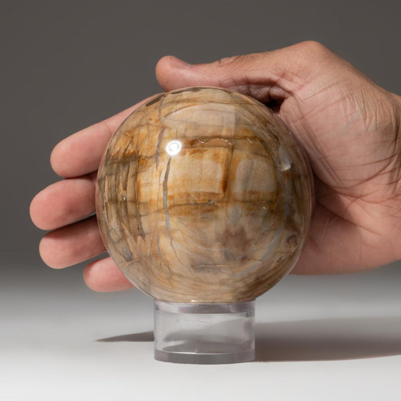 Polished Polychrome Sphere from Madagascar, 2.75" H x 2.75" W x 2.75" D, Gray/Black
