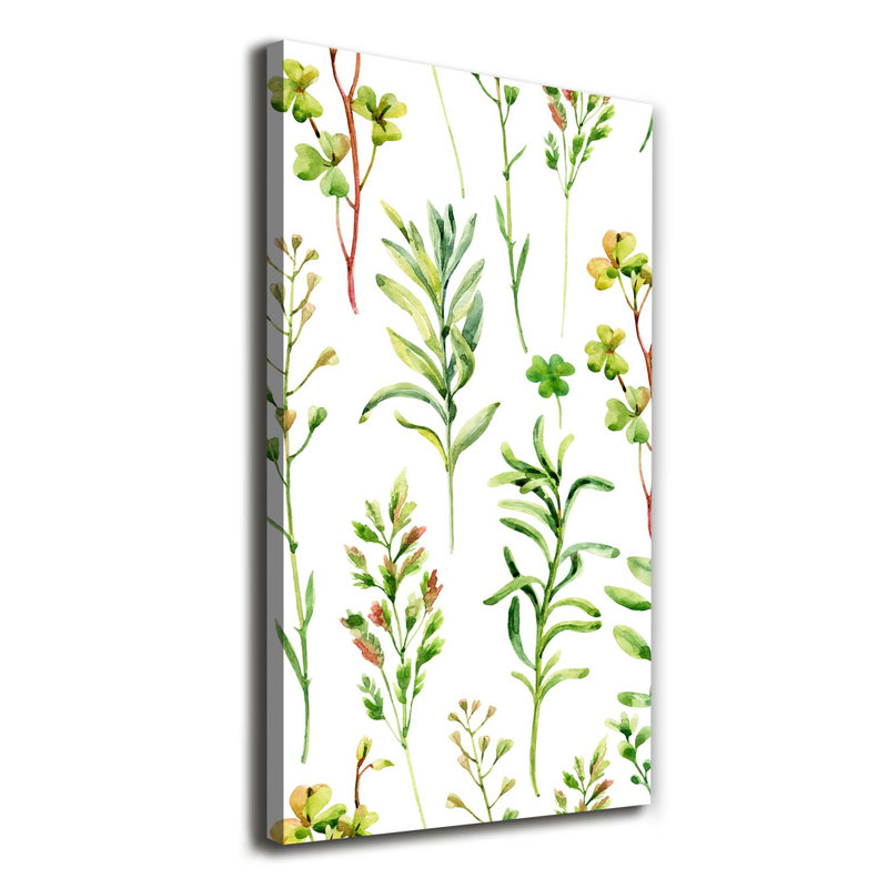 Weeds And Herbs - Wrapped Canvas Print