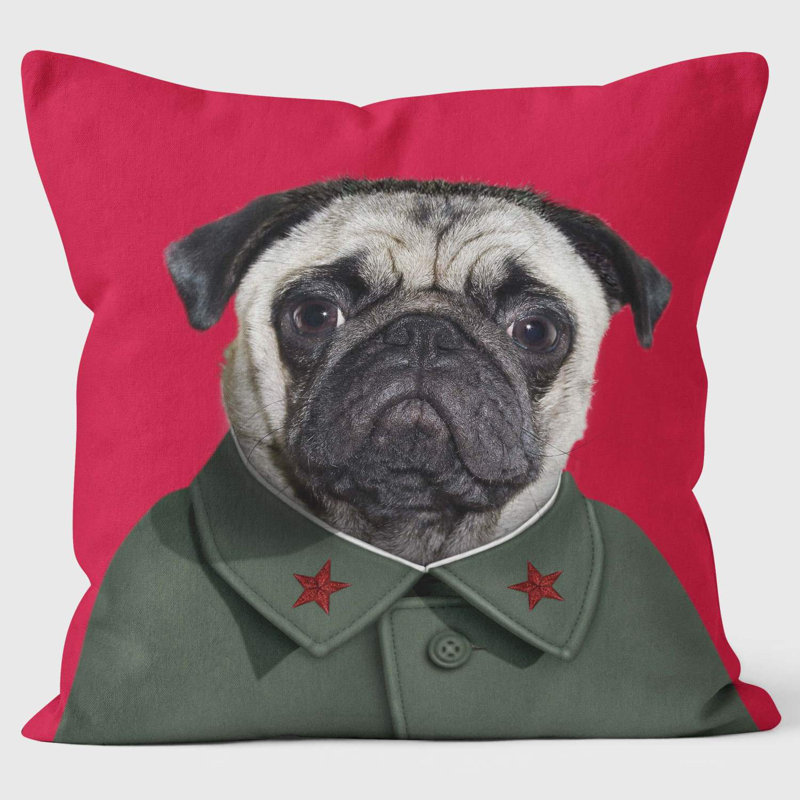 China - Pets Rock Cushion