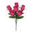 Rose vif