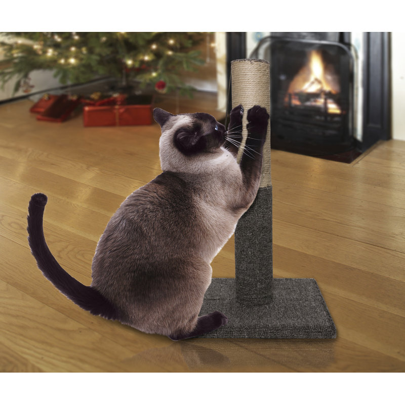 Meuble grattoir pour chat Tiger Tough, Gray