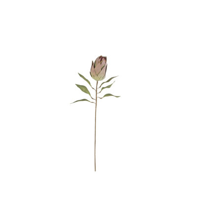 Faux Protea 26 po, plante botanique artificielle