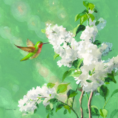 Colibri printemps I