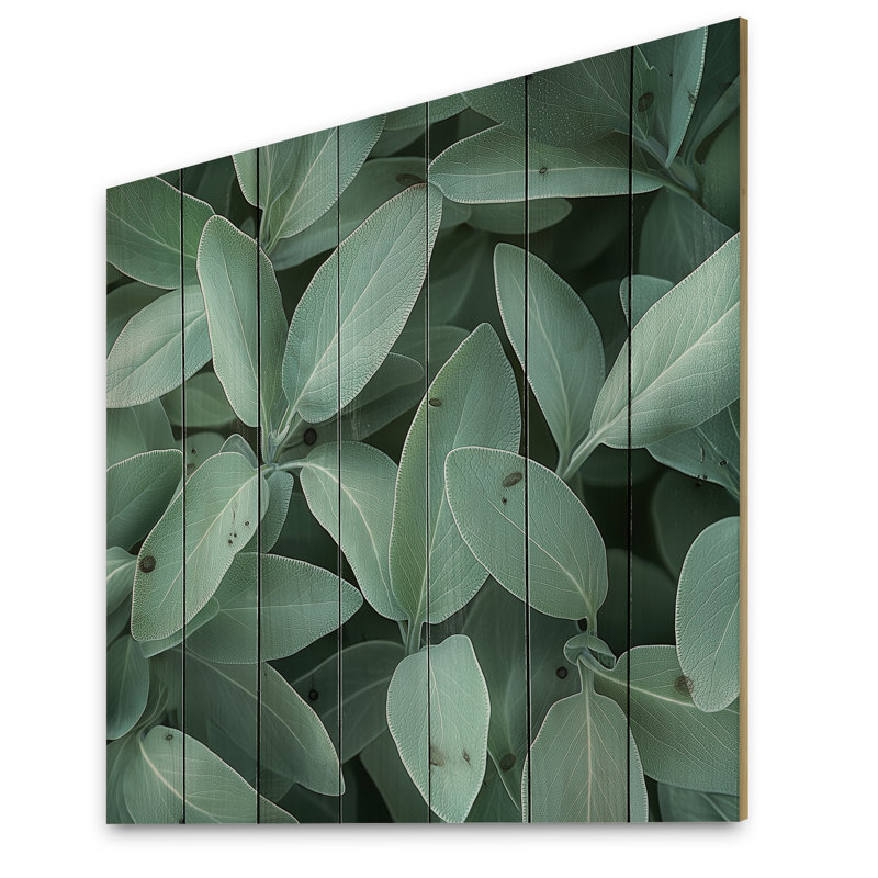 Feuilles de sauge - décoration murale en bois de feuilles - sur bois de pin naturel, H 15 po x l 15 po x P 0,78 po