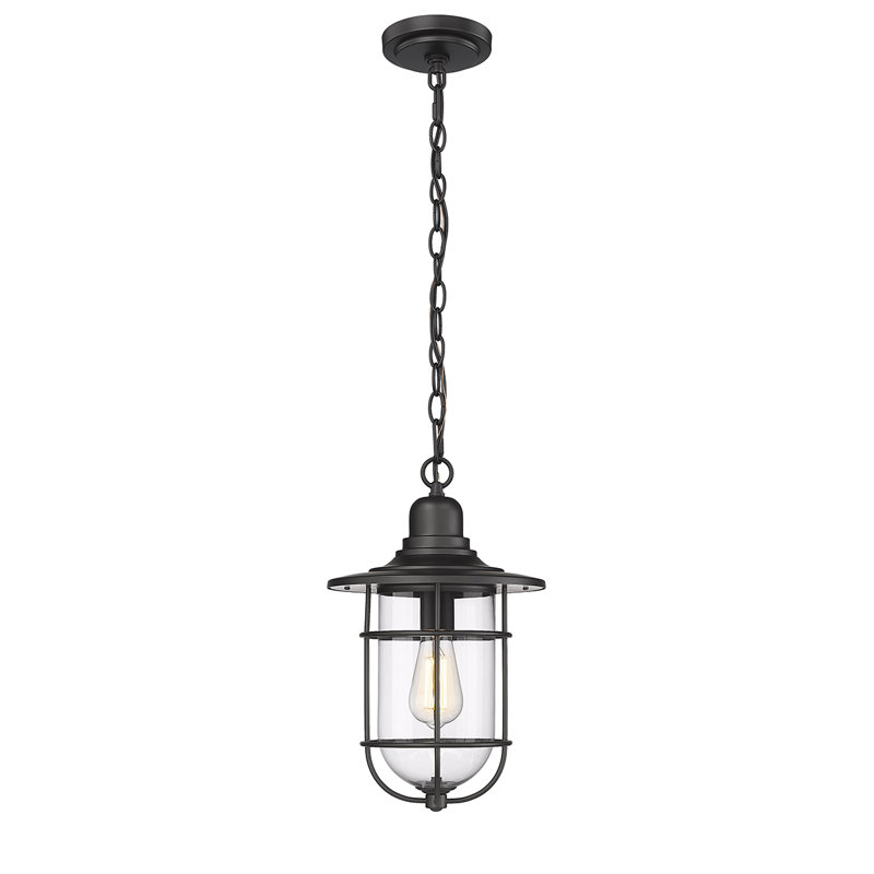 Filsaime Outdoor Hanging Lantern, Powder Coated Black