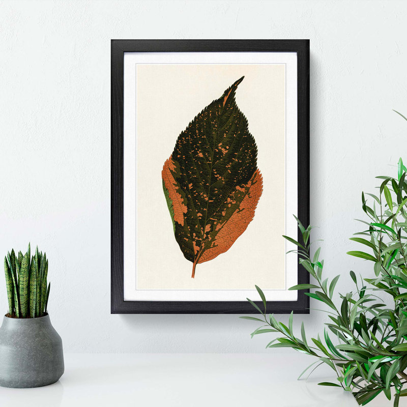 Autumn Leaf by Benjamin Fawcett - Picture Frame Painting Print, 87cm H x 62cm W x 2cm D, Black Framed
