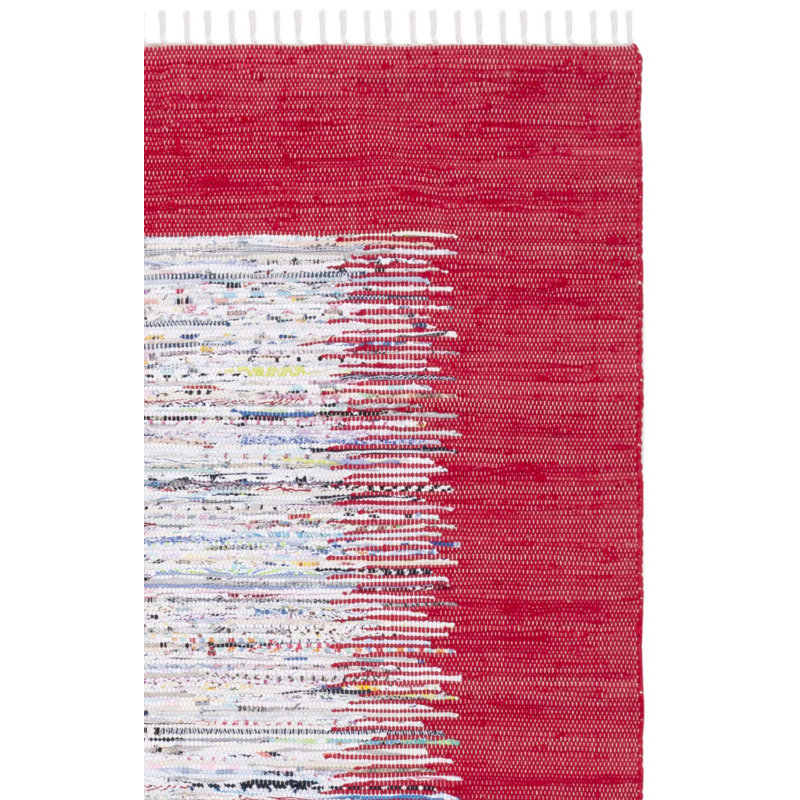 Pascual Hand Woven Cotton Abstract Rug, Rectangle 3' x 5'
