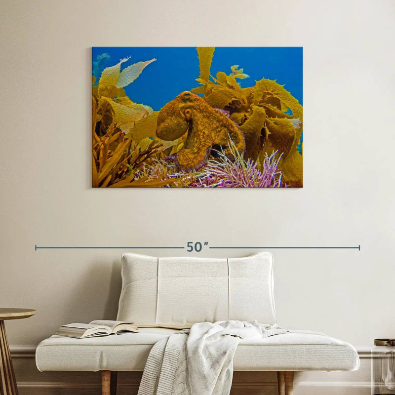 Crowle Reef Octopus And, 26" H x 39" W