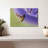 Brampt Nectar Sipping Hummingbird-107719408