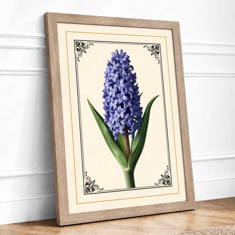 Hyacinth Study Botanical - Framed Print, Oak, A3 - 42.0 x 29.7 cm