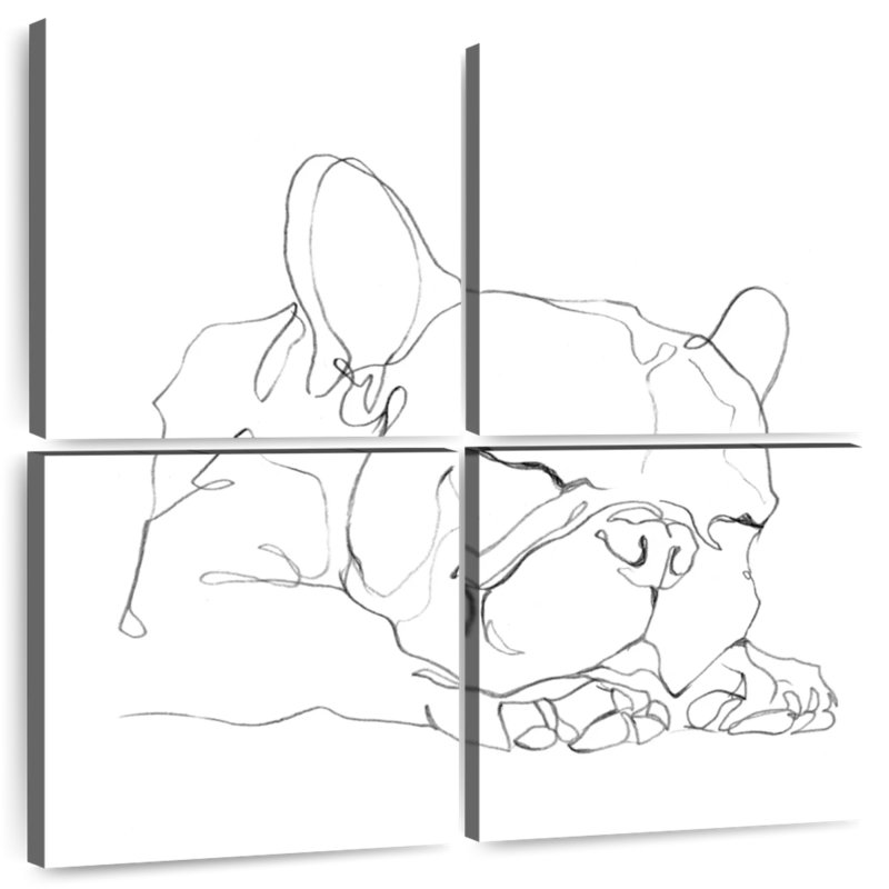 Bouledogue français Brampt Contour I