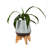 Ceramic Pot Planter-384780788