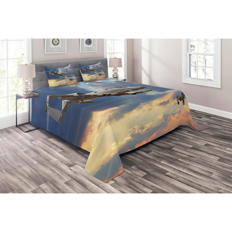 Modern & Contemporary Polyester Coverlet