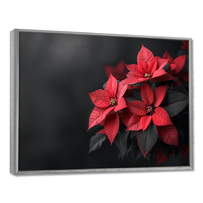 Rendez-vous romantique rouge et noir poinsettias - Décoration murale poinsettias, Toile argentée avec cadre flottant