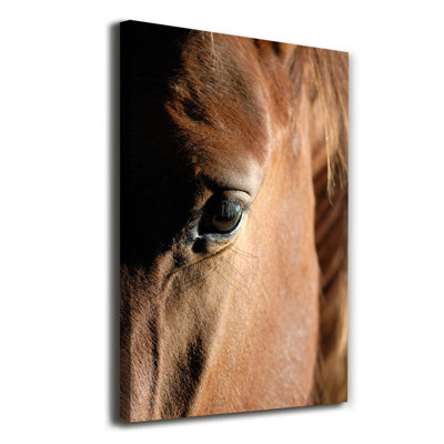 Horse - Wrapped Canvas Print