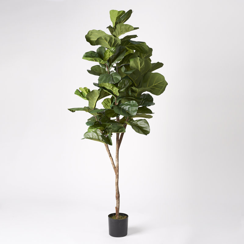 82.5'' Faux Fiddle Leaf Fig Tree in Pot