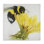 Little bumblebee on a dandelion - Contemporary tablecloth