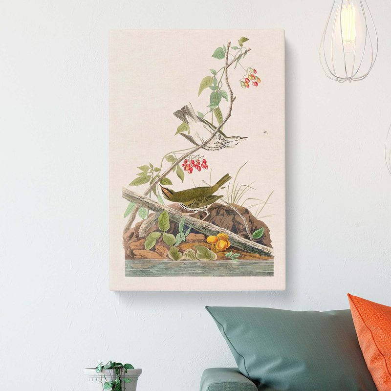 Golden-Crowned Thrush - Wrapped Canvas Painting, 60cm H x 40cm W x 3cm D