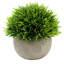 4 pièces de mini plantes artificielles en plastique