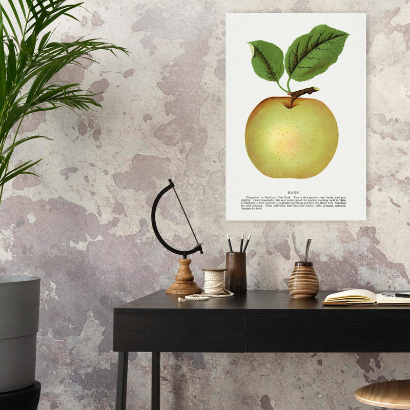 Pomme de lin Mann, H 24 po x l 16 po