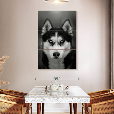 Brampt Serious Siberian Husky