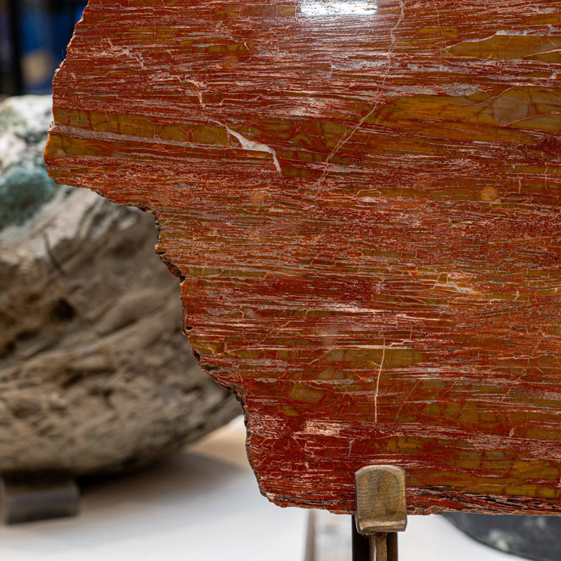 Genuine Polished Petrified Wood Slice With Metal Display Stand