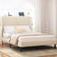 Lit plateforme double, base de lit en métal avec station de charge, aucun sommier nécessaire (beige), silencieux, facile à assembler.-985794928