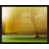 Black Framed Paper