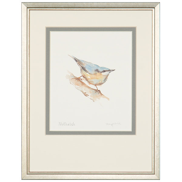 " Nuthatch "