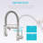 FLG Pull Down Kitchen Faucet