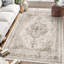 Oriental Area Rug-553023917-799655225